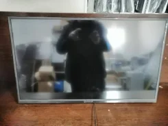 Irbis. LED ����