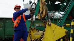 �����-�����������-�����������-�������. �� ������� �.�. ����� �������� 4� ����