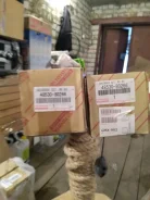 ������ ������ 4853080266 ����