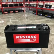 Mustang. 190��.�., ������������ ����� ����