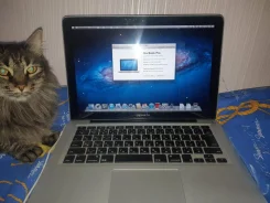 Apple MacBook Pro 13 2009 Mid. 13.1", 2,3����, ��� 4 ��, ���� 250���, WiFi, Bluetooth, ����������� �� 5��. ����