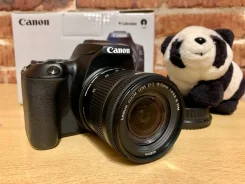 Canon EOS 250D ����