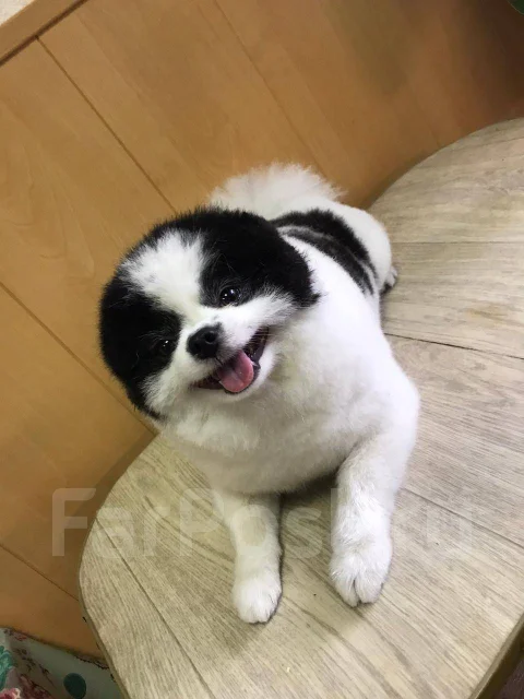 ����. ����