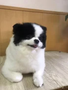 ����. ����