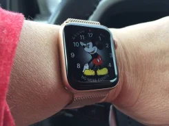 Apple Watch Series 6. GPS, IP67 ����