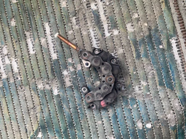 ������� ���� ����