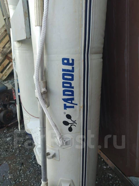 Tadpole MD-270. ��������� ��� ��������� ����