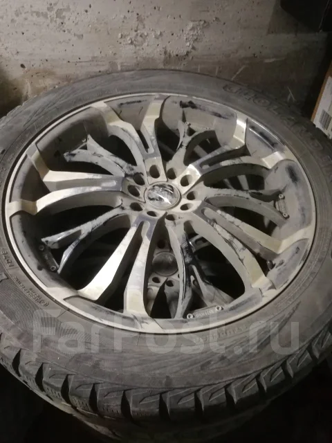 Barracuda. x20" ����