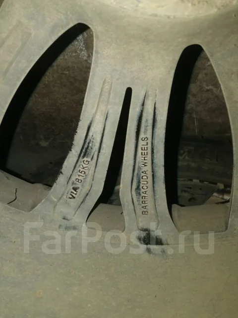 Barracuda. x20" ����