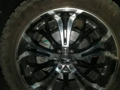 Barracuda. x20" ����