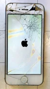 Apple iPhone 5. �/�, �����, ������, 3G ����