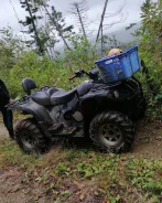 Stels ATV 500GT. ����������, ���� ���\���, � �������� ����