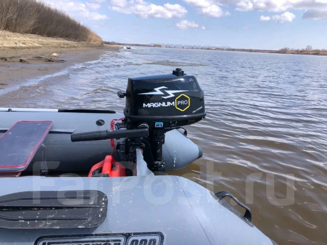 ���� �����. 2021 ���, ����� 3,2��., ��������� ���������, 5��.�., ������ ����