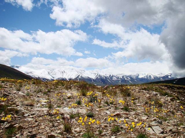 шавлинские озера. отель у подножья гор алтая. сияющие горы.