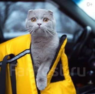 Подработка на авто компании