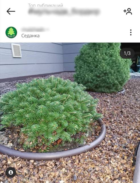 Садовые бордюры Канта ПРО 15 см и 10 метров коричневый, новый, в ...