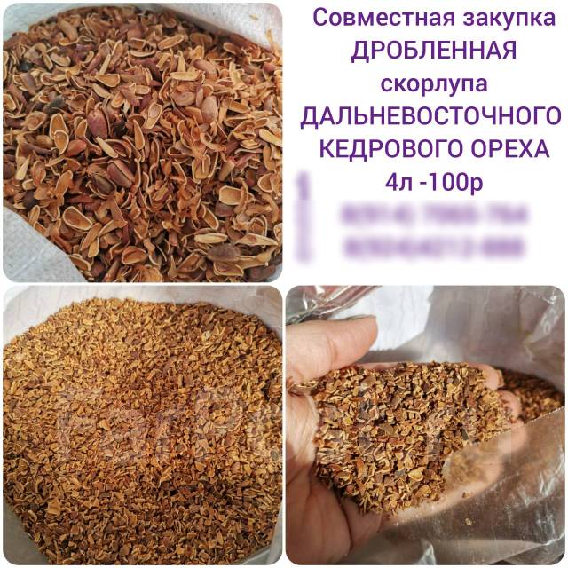 Мус на калину