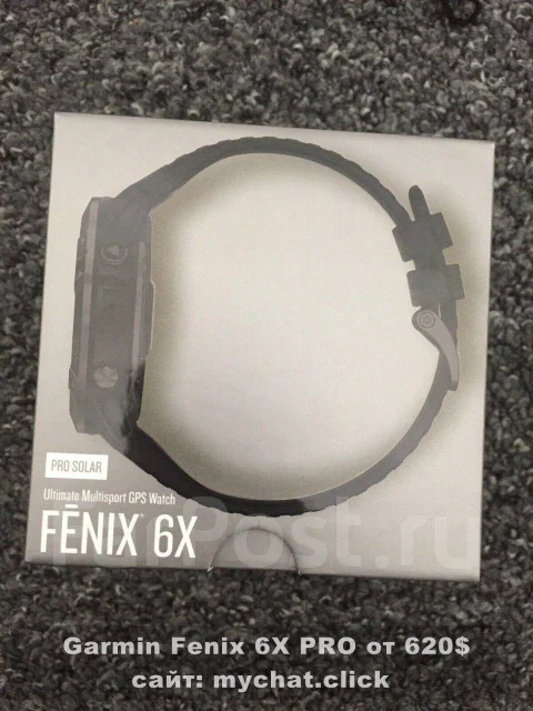 Garmin Fenix 6X Pro ����
