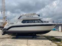Carver. 2003 ���, ��������� ������������, 300��.�., ������ ����