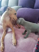 ��������. ����