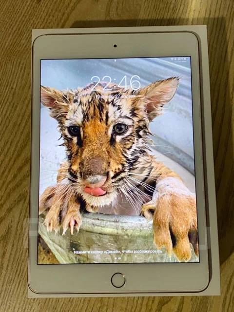 Apple iPad Mini 5 ����