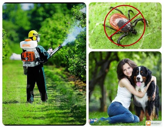 Полное Уничтожение И Истребление! -клещей, тараканов, клопов, ос и т. д ...