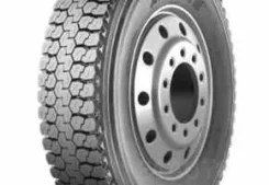 Annaite 302. �����������, 2021 ���, ����� ����