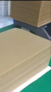 ����. ����