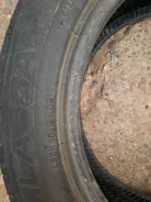 Lassa. ������, 2014 ���, �/�, ����� 50 % ����