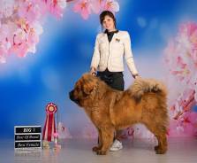 �������.