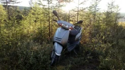 Honda Lead 100. 101����. ��., ��������, ���, � �������� ����