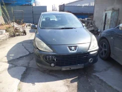 Peugeot 307 ����