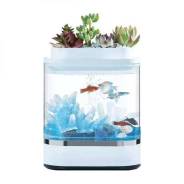 ���������.