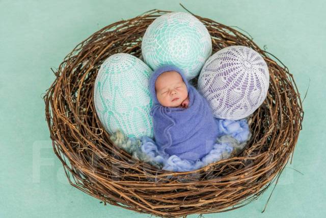 Nest from brown branches for photo shoot and shooting newborns for rent, Kiev, low price