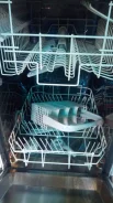 Zanussi ����