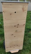 ����. ����