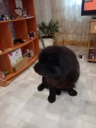 ���-���. ����