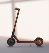 ������ �����������. ����