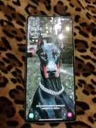 Samsung Galaxy S10 Lite. �/�, �����, 4G LTE, Dual-SIM, NFC ����