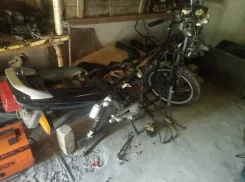 Stels Delta 200 ����