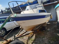 Yamaha Fish 17. 1991 ���, ����� 5��., ��������� ���������, 90��.�., ������ ����