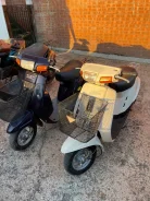 Yamaha Mint. 49����. ��., ��������, ���, ��� ������� ����