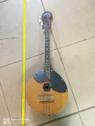�����. ����