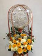 �����. ����