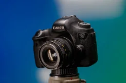 Canon EOS 6D. 20 � ����� ��, ���: ��� ���� ����