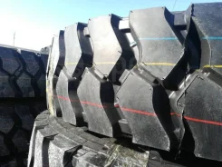 Annaite 399. �����������, 2020 ���, ����� ����