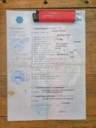 Mazda Cronos ����