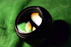 Minolta. ������� ������� 49 �� ����
