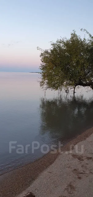 �����. ����