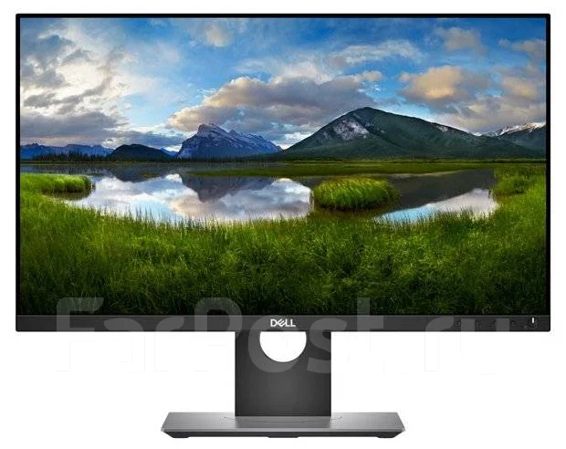 Dell. 24" ����